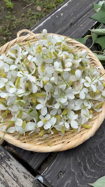 義母　最後の大仕事 (2)