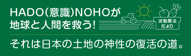 生活の中で役立つ自然